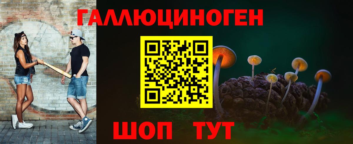 Псилоцибиновые грибы прущие грибы Качканар